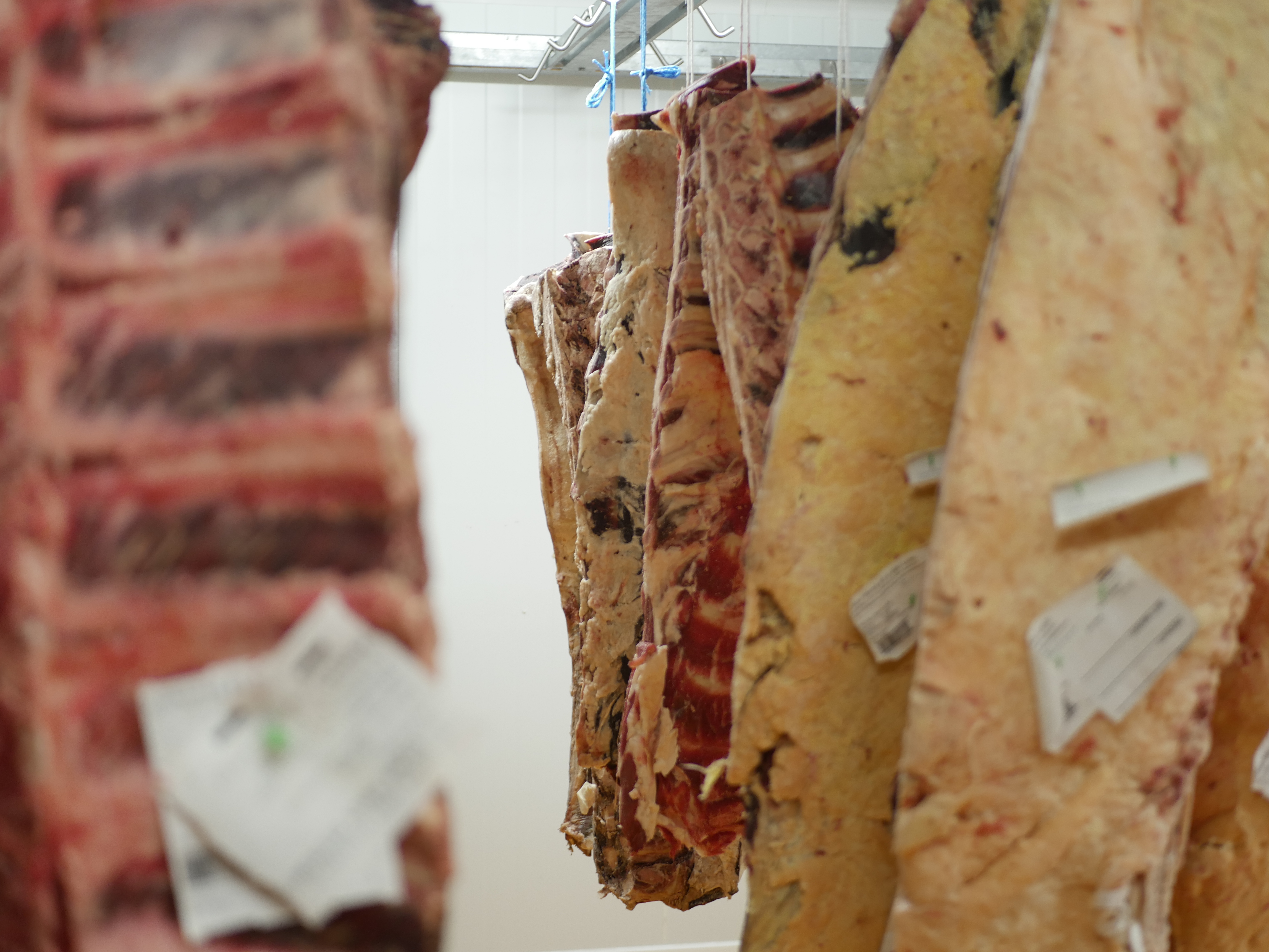 Colmar Frais - Fournisseur alimentaire à Colmar entre Mulhouse et Strasbourg